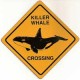 Killer Whale X-ing Sign